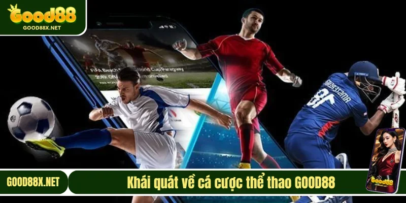 Cá cược thể thao siêu hấp dẫn